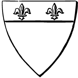 Shield with chief and fleurs-de-lis