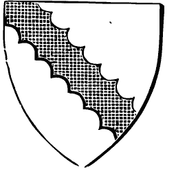 Shield with engrailed bend