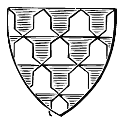 Vairy shield 02