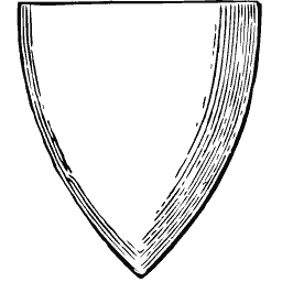 Blank shield