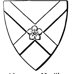 Shield with saltire and rose 02