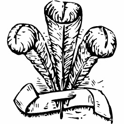 Feathers with a ribbon scroll