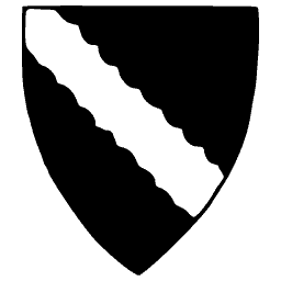 Shield with wavy bend