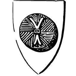 Wheel shield