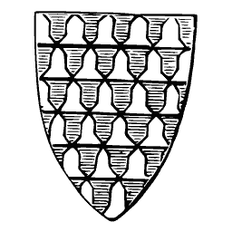 Vair shield 01