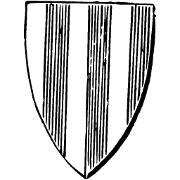 Paly shield 01