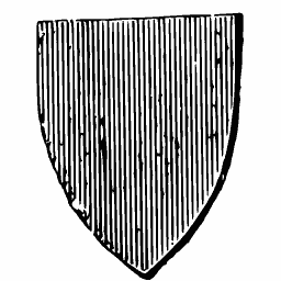 Paly shield 02