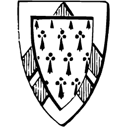Ermine shield 02