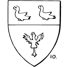 Birds and eagle shield