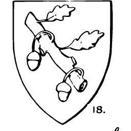 Acorn shield