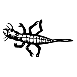 Scorpion 02