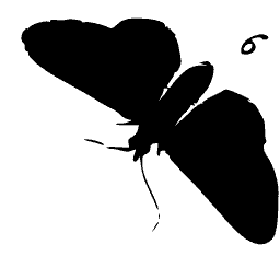 Butterfly silhouette 01