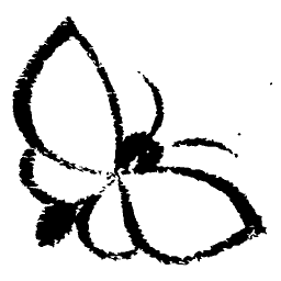Butterfly in outline