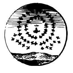 Bees circling in a ring