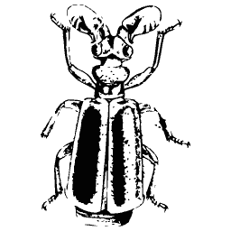 Beetle with curved jaws