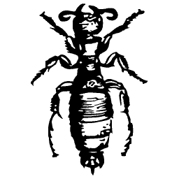 Insect with a banded abdomen