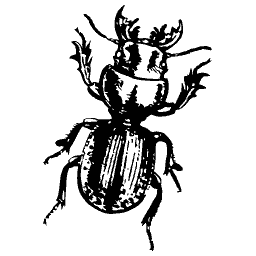 Beetle with curved jaws and a ridged back