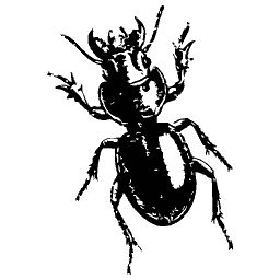 Beetle with a notched head