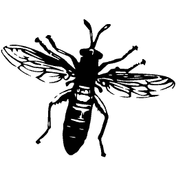 Wasp with a dark abdomen