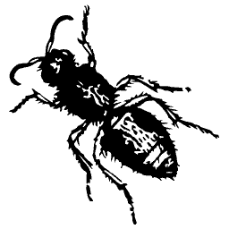 Bee with a banded body