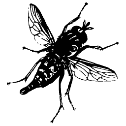 Black wasp with spread wings