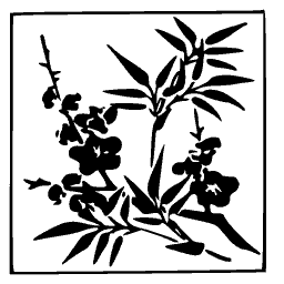Bamboo panel