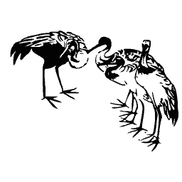 Cranes 01