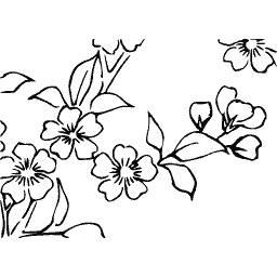 Blossom spray 03