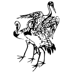 Cranes 03