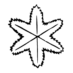 Snowflake with furred star points