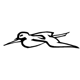 Flying bird in outline