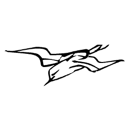 Pair of flying birds