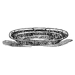 Oval dish