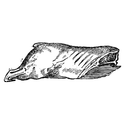 Neck of mutton