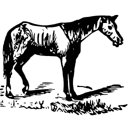 Standing horse