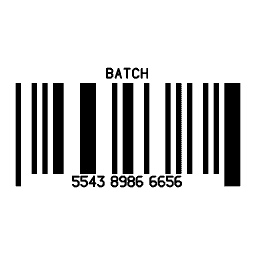 Barcode block 13