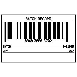 Barcode with record 17