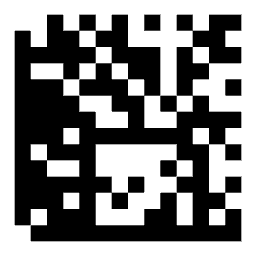 Data matrix code 01