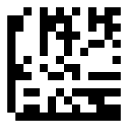 Data matrix code 03