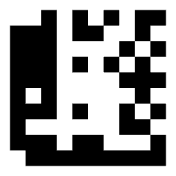 Data matrix code 10