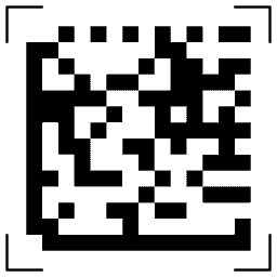 Data matrix code 11