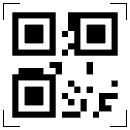 Data matrix code 13