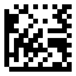 Data matrix code 15