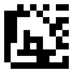 Data matrix code 19