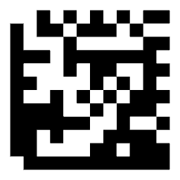 Data matrix code 20