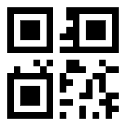 Data matrix code 21