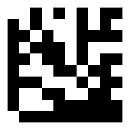 Data matrix code 24