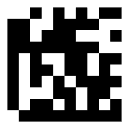 Data matrix code 25