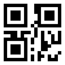 Data matrix code 27
