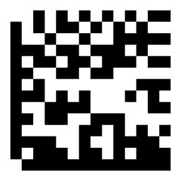 Data matrix code 28